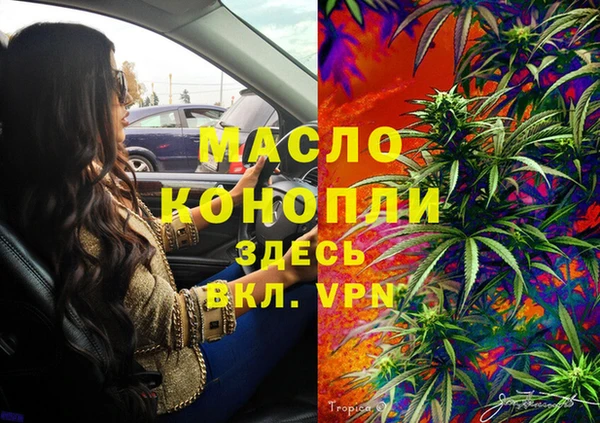 амф Вяземский