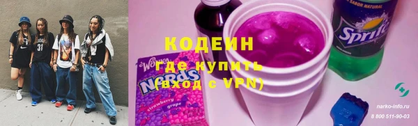шишки Верхний Тагил