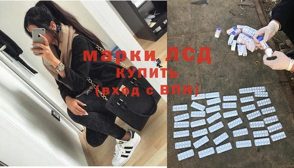 гидра Верея