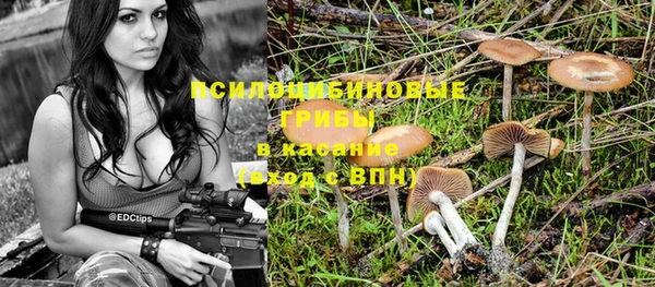 прущие крисы Волосово