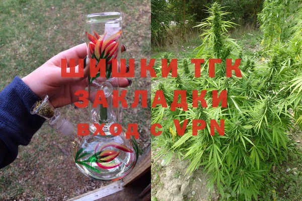 PSILOCYBIN Вязьма