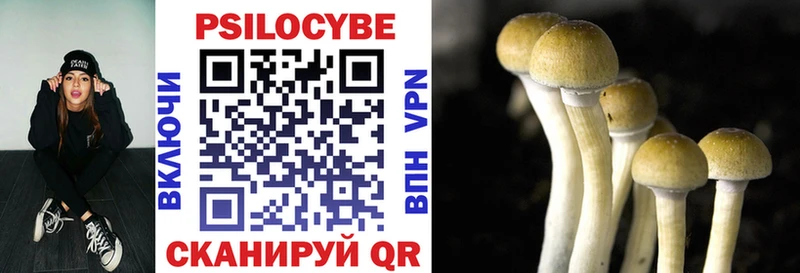 Купить  Кологрив  Псилоцибиновые грибы Psilocybe 
